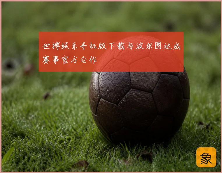 世搏娱乐手机版下载与波尔图达成赛事官方合作